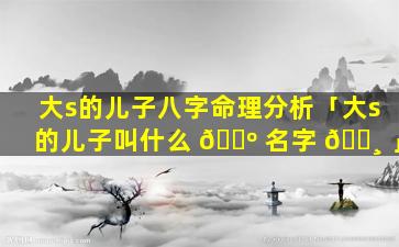 大s的儿子八字命理分析「大s的儿子叫什么 🌺 名字 🌸 」
